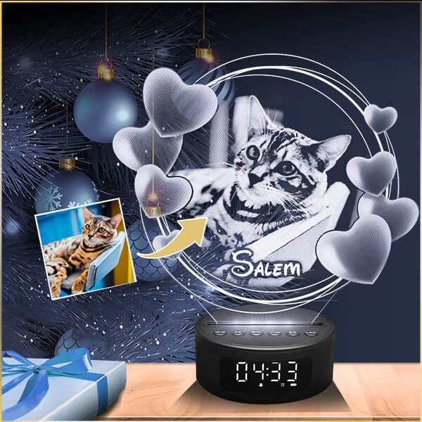 pub noel bleu rond coeur chat HDG NOIR