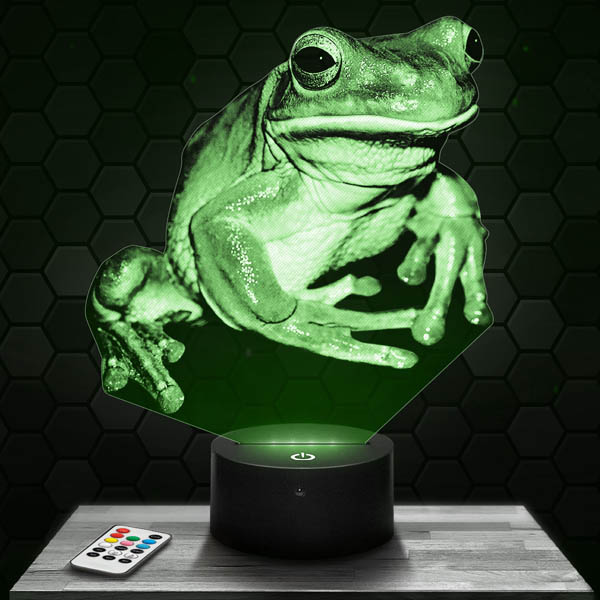 lampe-3d-grenouille-600