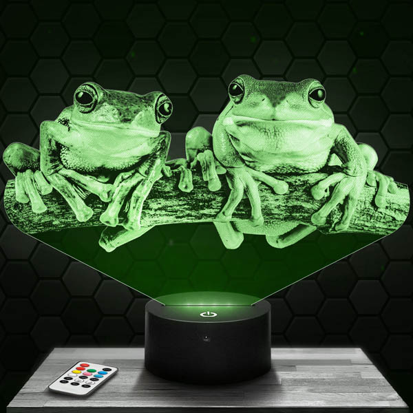 lampe-3d-grenouille-couple-600